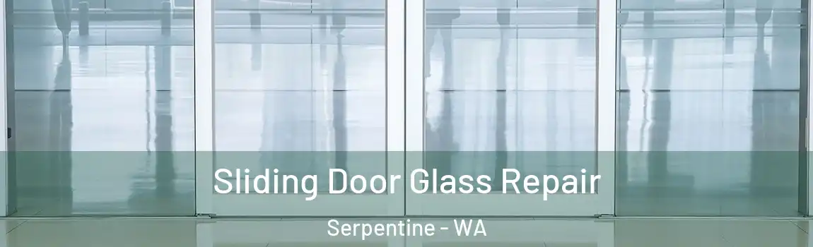 Sliding Door Glass Repair Serpentine - WA
