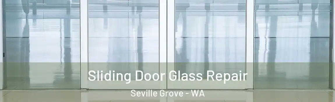 Sliding Door Glass Repair Seville Grove - WA