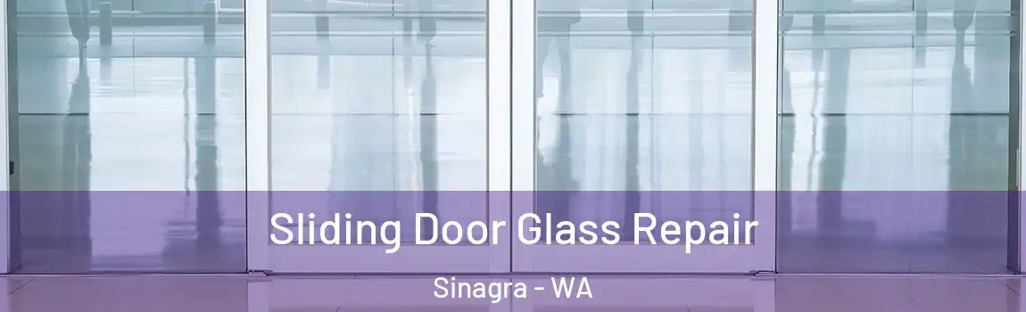 Sliding Door Glass Repair Sinagra - WA