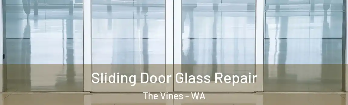 Sliding Door Glass Repair The Vines - WA