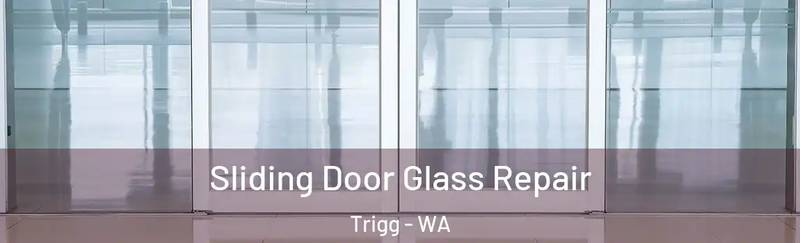 Sliding Door Glass Repair Trigg - WA