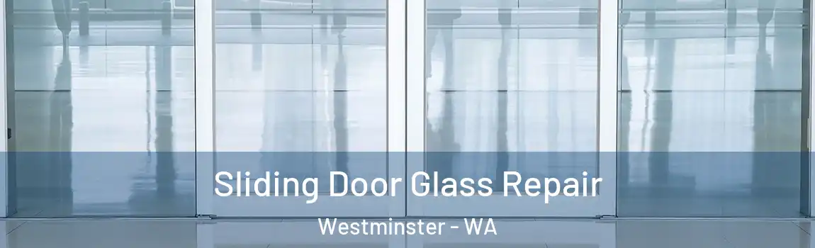 Sliding Door Glass Repair Westminster - WA