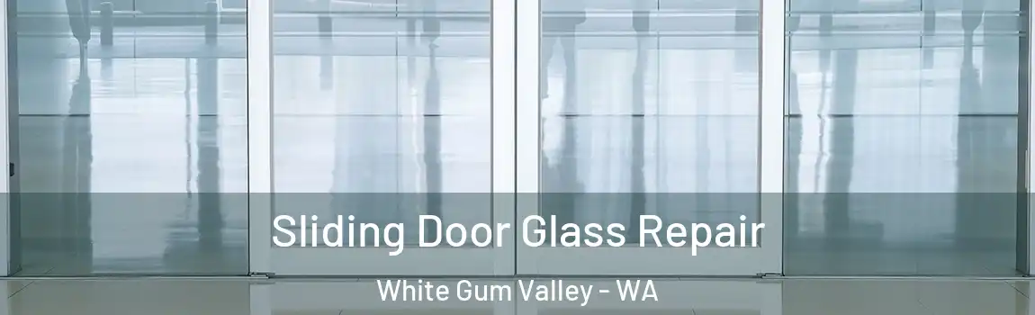Sliding Door Glass Repair White Gum Valley - WA