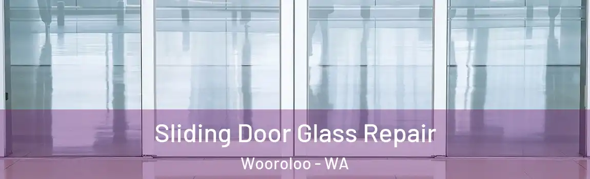 Sliding Door Glass Repair Wooroloo - WA