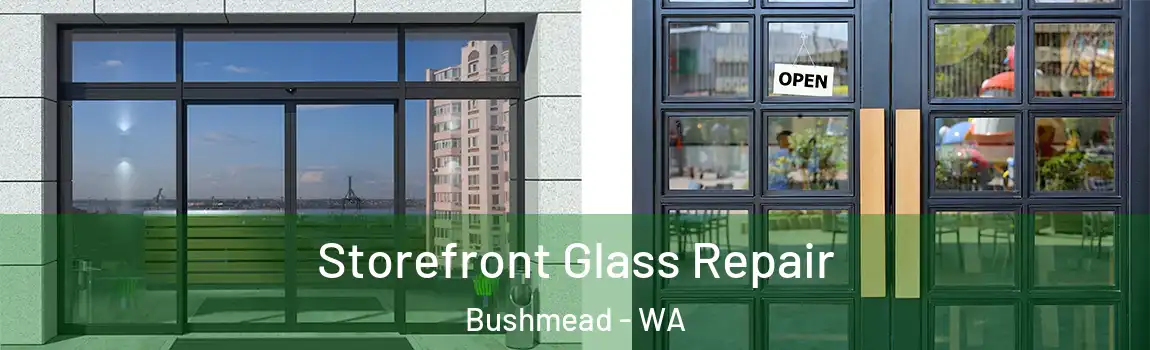 Storefront Glass Repair Bushmead - WA