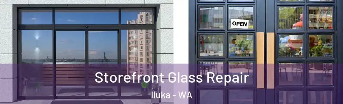 Storefront Glass Repair Iluka - WA