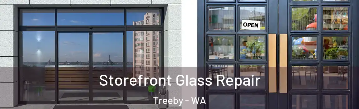 Storefront Glass Repair Treeby - WA