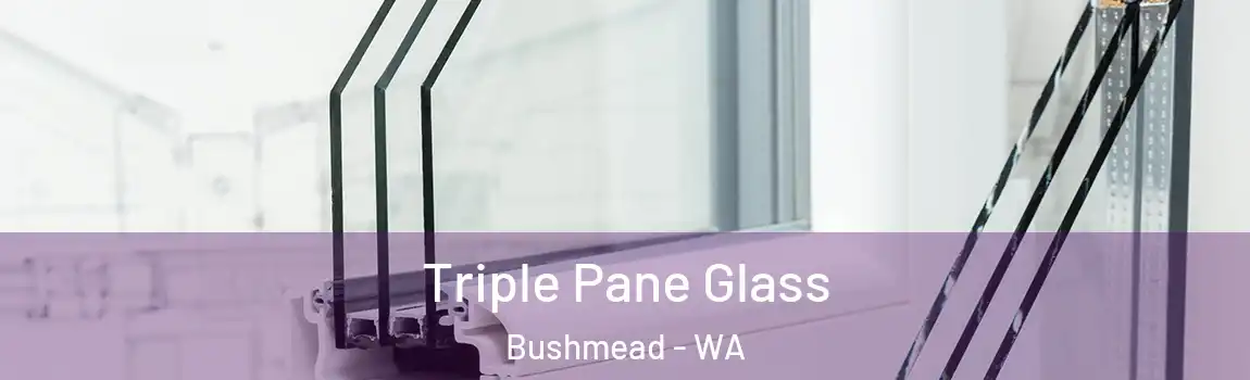 Triple Pane Glass Bushmead - WA
