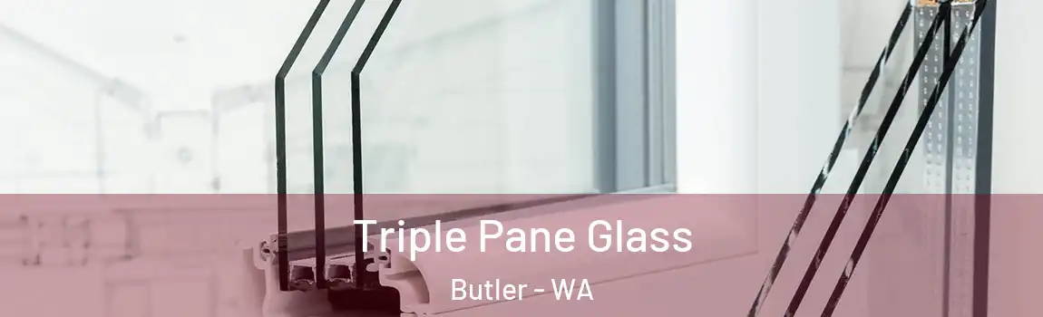 Triple Pane Glass Butler - WA