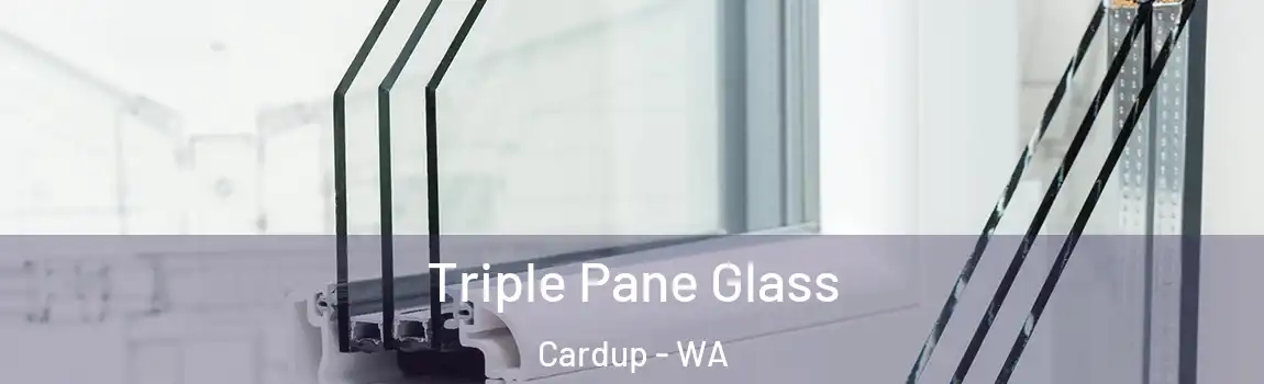 Triple Pane Glass Cardup - WA