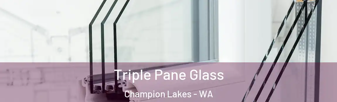Triple Pane Glass Champion Lakes - WA