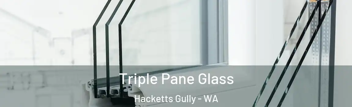 Triple Pane Glass Hacketts Gully - WA