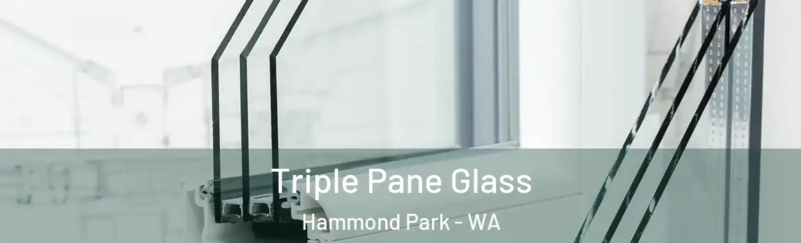 Triple Pane Glass Hammond Park - WA