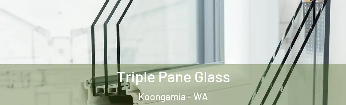Triple Pane Glass Koongamia - WA