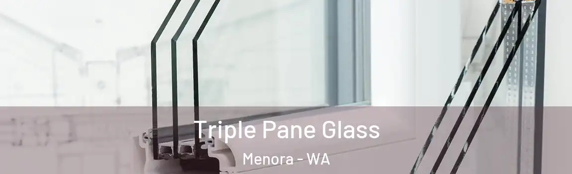 Triple Pane Glass Menora - WA