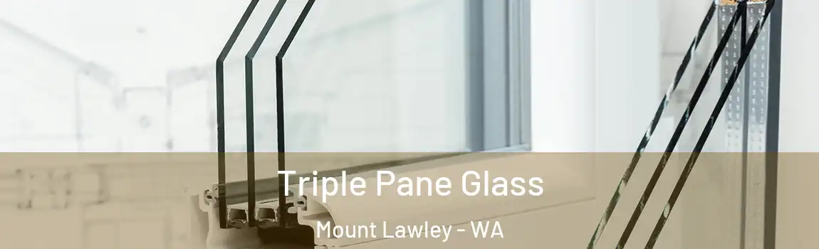 Triple Pane Glass Mount Lawley - WA
