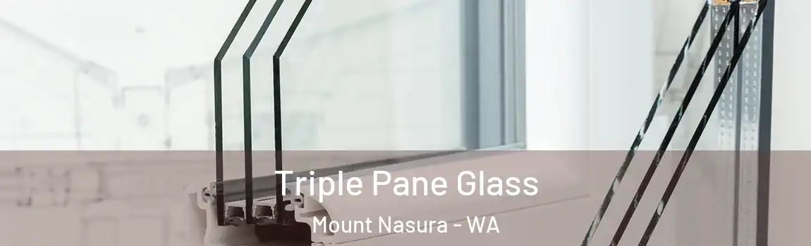 Triple Pane Glass Mount Nasura - WA