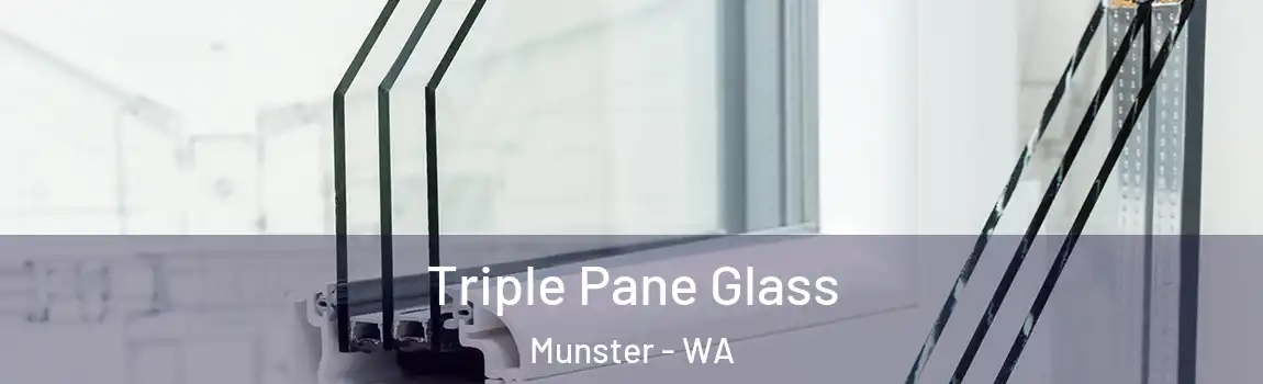Triple Pane Glass Munster - WA