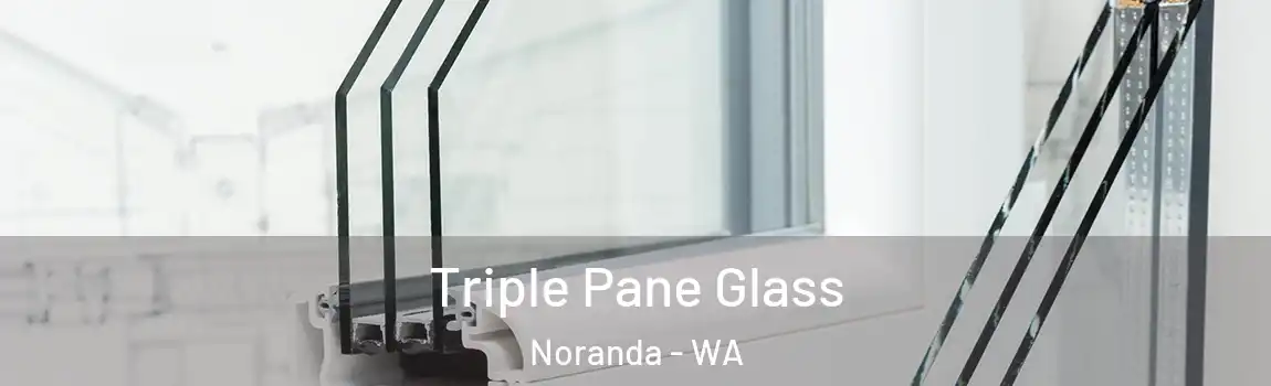 Triple Pane Glass Noranda - WA