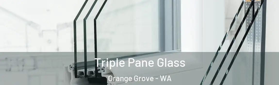 Triple Pane Glass Orange Grove - WA