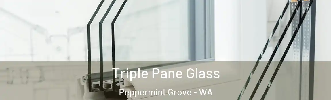 Triple Pane Glass Peppermint Grove - WA