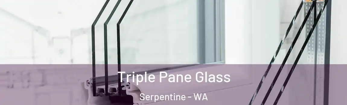 Triple Pane Glass Serpentine - WA