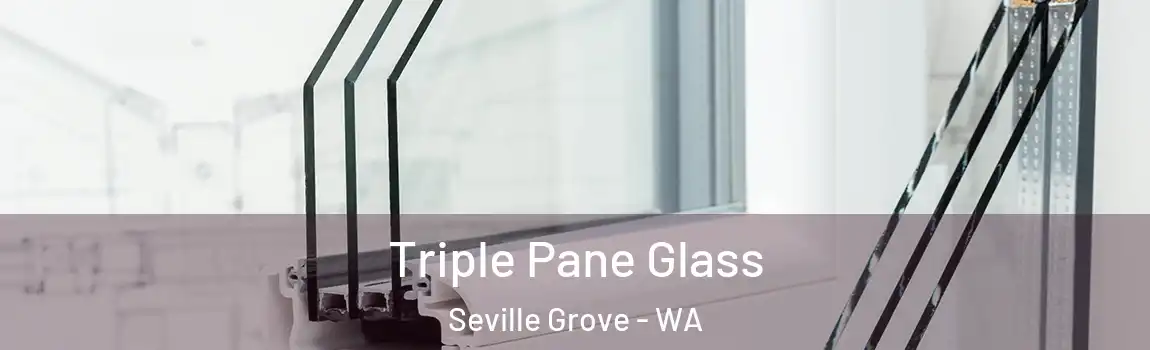 Triple Pane Glass Seville Grove - WA