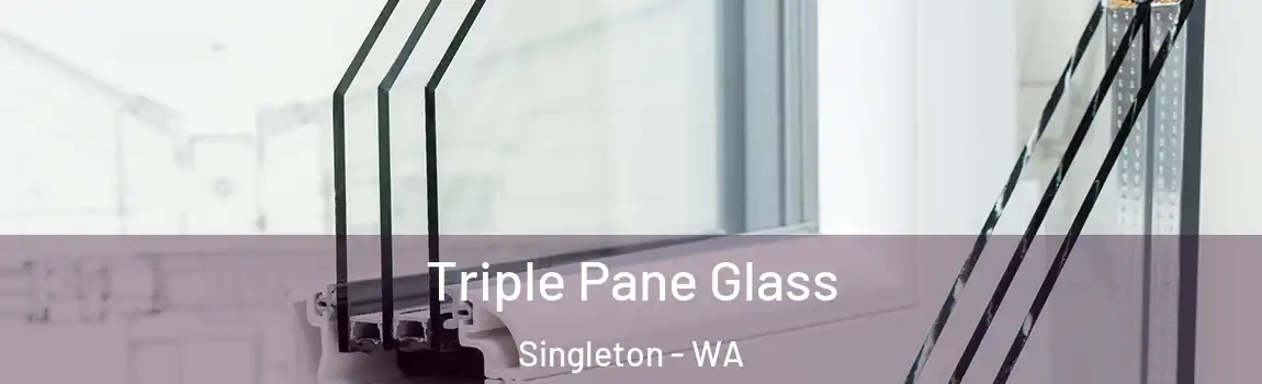 Triple Pane Glass Singleton - WA