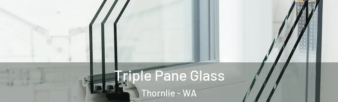 Triple Pane Glass Thornlie - WA