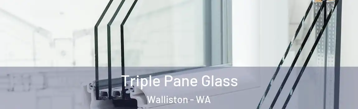 Triple Pane Glass Walliston - WA
