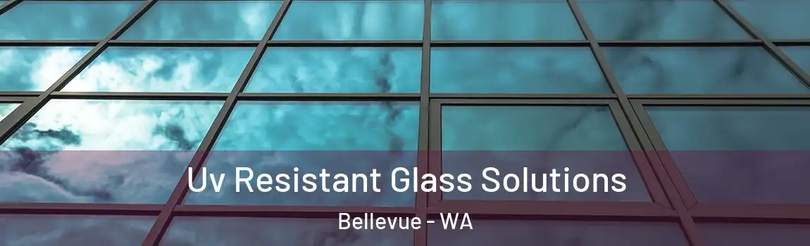 Uv Resistant Glass Solutions Bellevue - WA