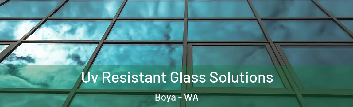 Uv Resistant Glass Solutions Boya - WA