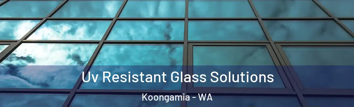 Uv Resistant Glass Solutions Koongamia - WA