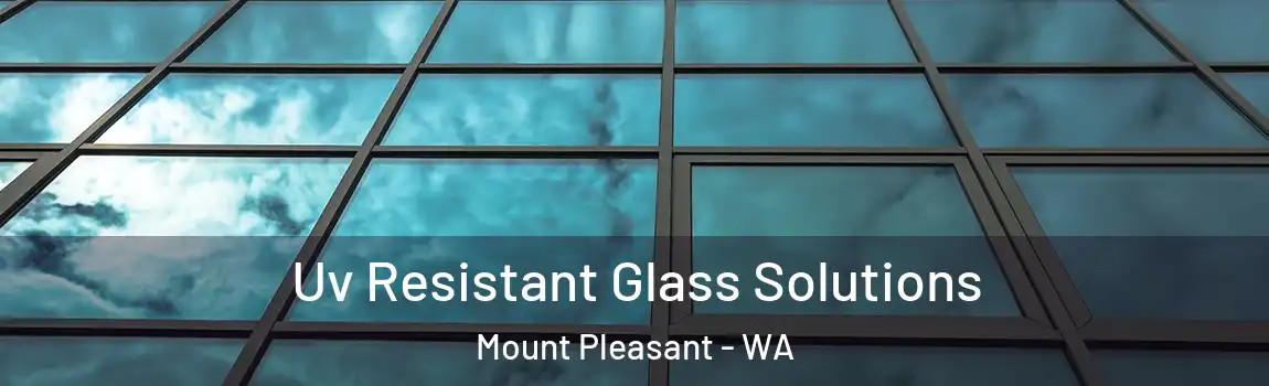 Uv Resistant Glass Solutions Mount Pleasant - WA