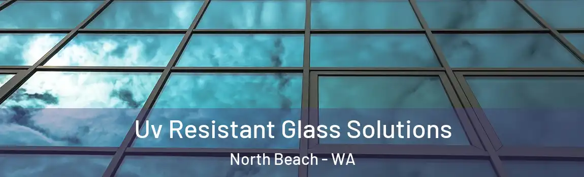 Uv Resistant Glass Solutions North Beach - WA