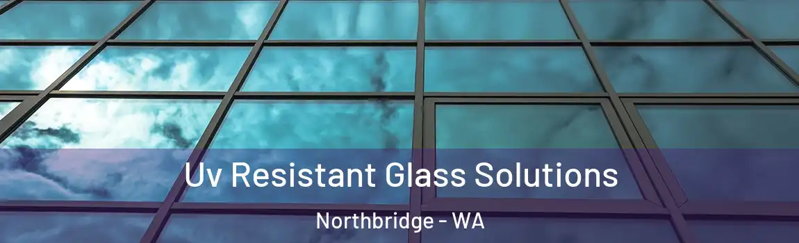 Uv Resistant Glass Solutions Northbridge - WA