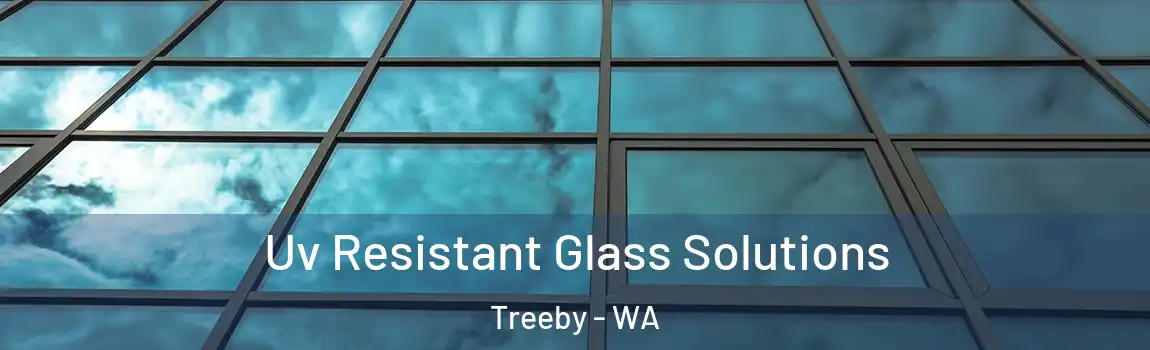 Uv Resistant Glass Solutions Treeby - WA