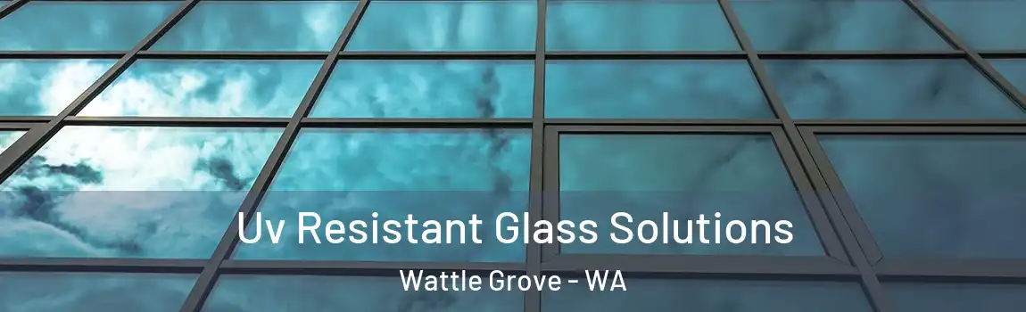 Uv Resistant Glass Solutions Wattle Grove - WA