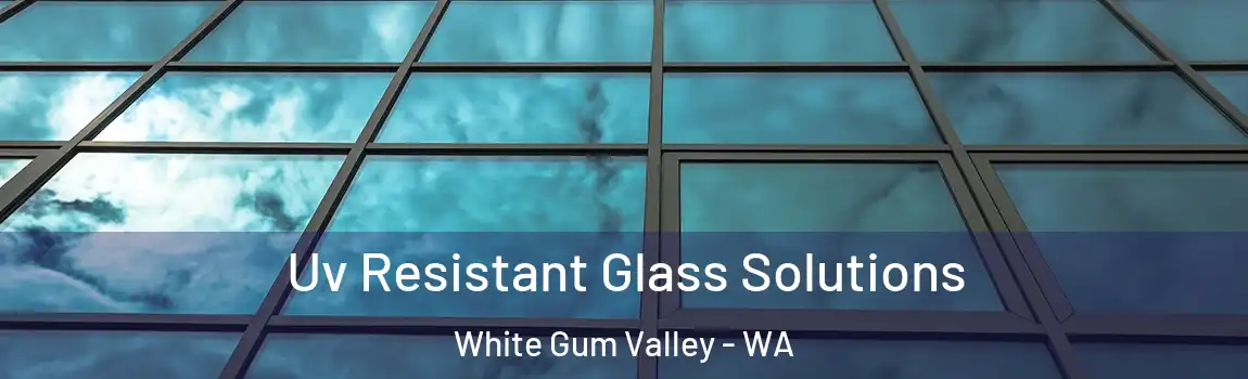 Uv Resistant Glass Solutions White Gum Valley - WA