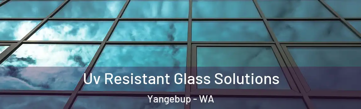 Uv Resistant Glass Solutions Yangebup - WA