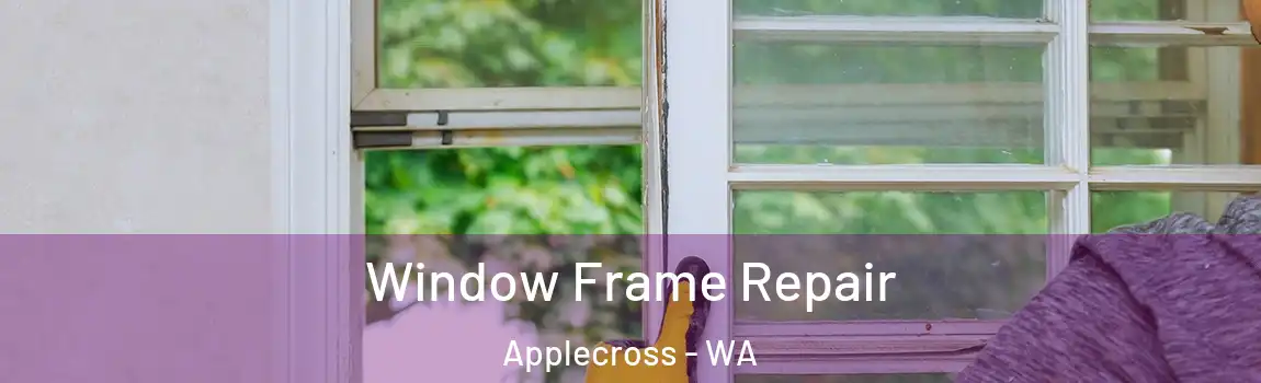 Window Frame Repair Applecross - WA