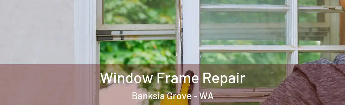 Window Frame Repair Banksia Grove - WA