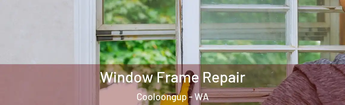  Window Frame Repair Cooloongup - WA