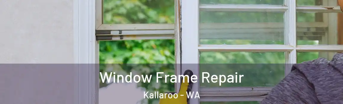 Window Frame Repair Kallaroo - WA
