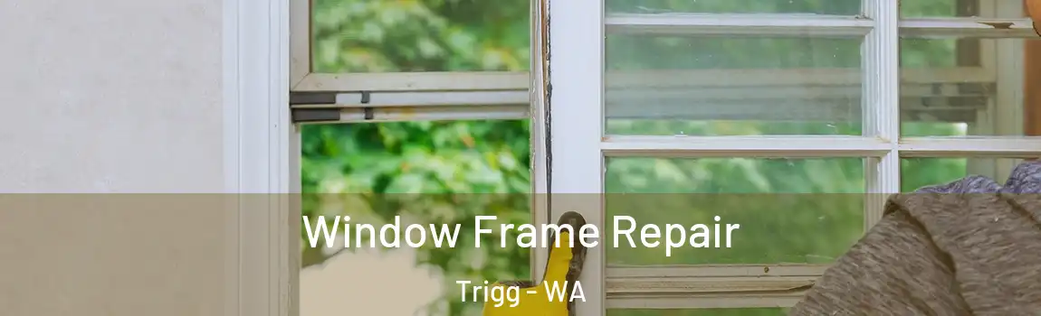 Window Frame Repair Trigg - WA