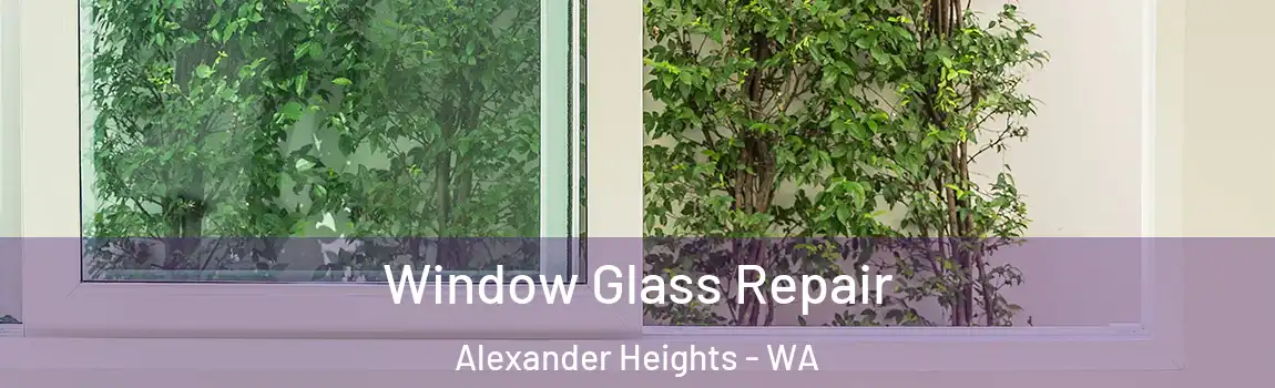 Window Glass Repair Alexander Heights - WA