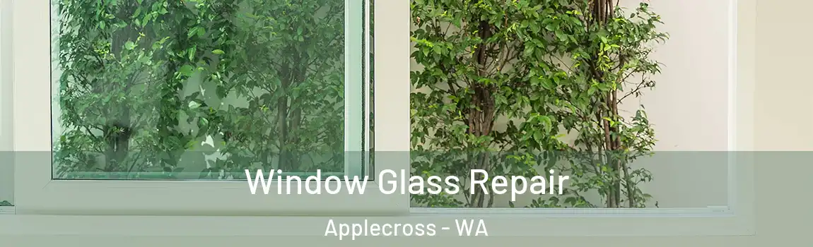 Window Glass Repair Applecross - WA