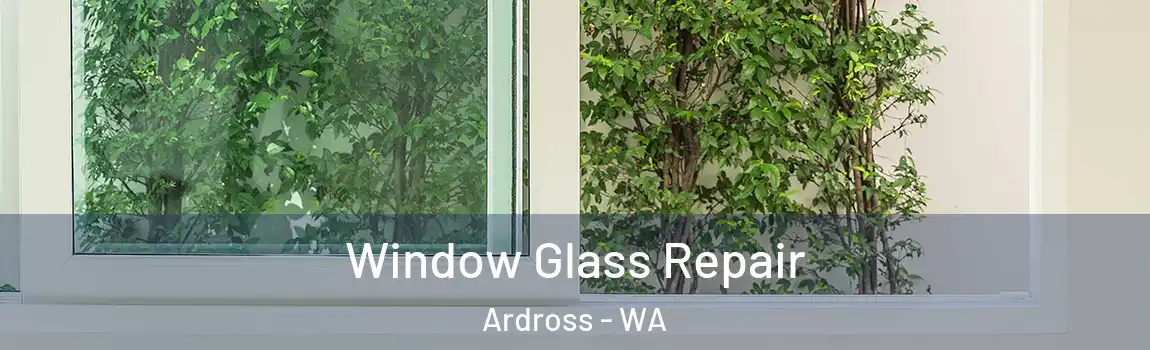 Window Glass Repair Ardross - WA