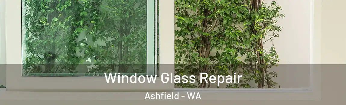 Window Glass Repair Ashfield - WA