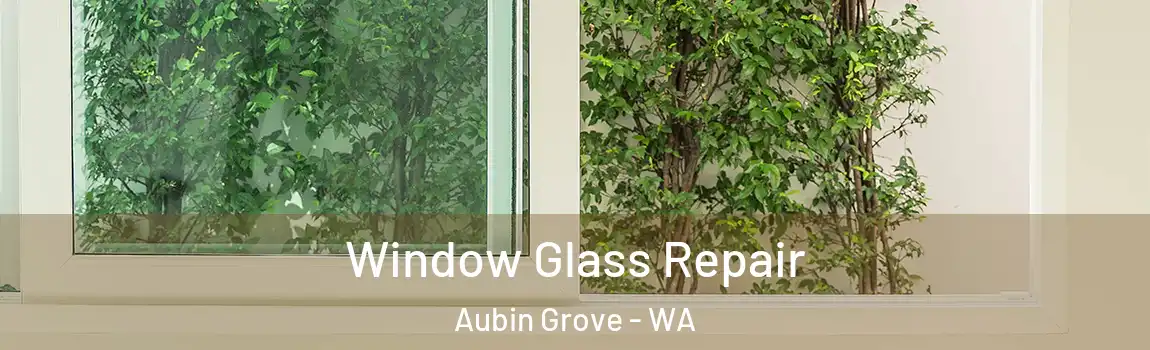 Window Glass Repair Aubin Grove - WA